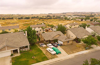 20161 Fallen-Leaf_320