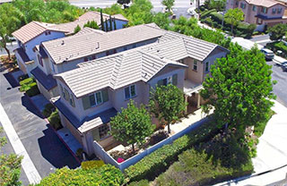 27669 Passion-flower-ct_320