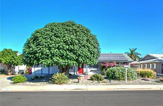 40251 Pasadena-Dr_320