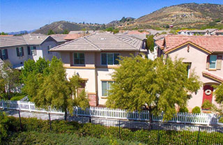 35708 Kittentails-Ln_320