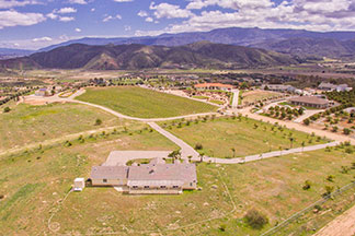 36245_palmador_ln_324