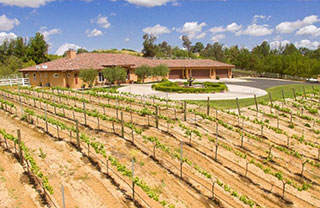 36320 via-el-pais-bonita_320