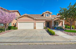 37052 almond-cir_320