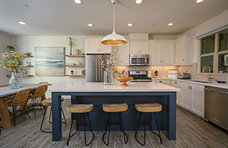 36789 Maxmillian-Ave_320